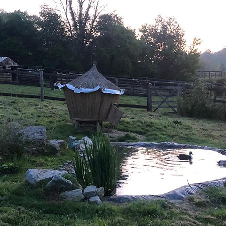 Bed and Breakfast Le Champ Des Possibles Manerbe Exterior foto