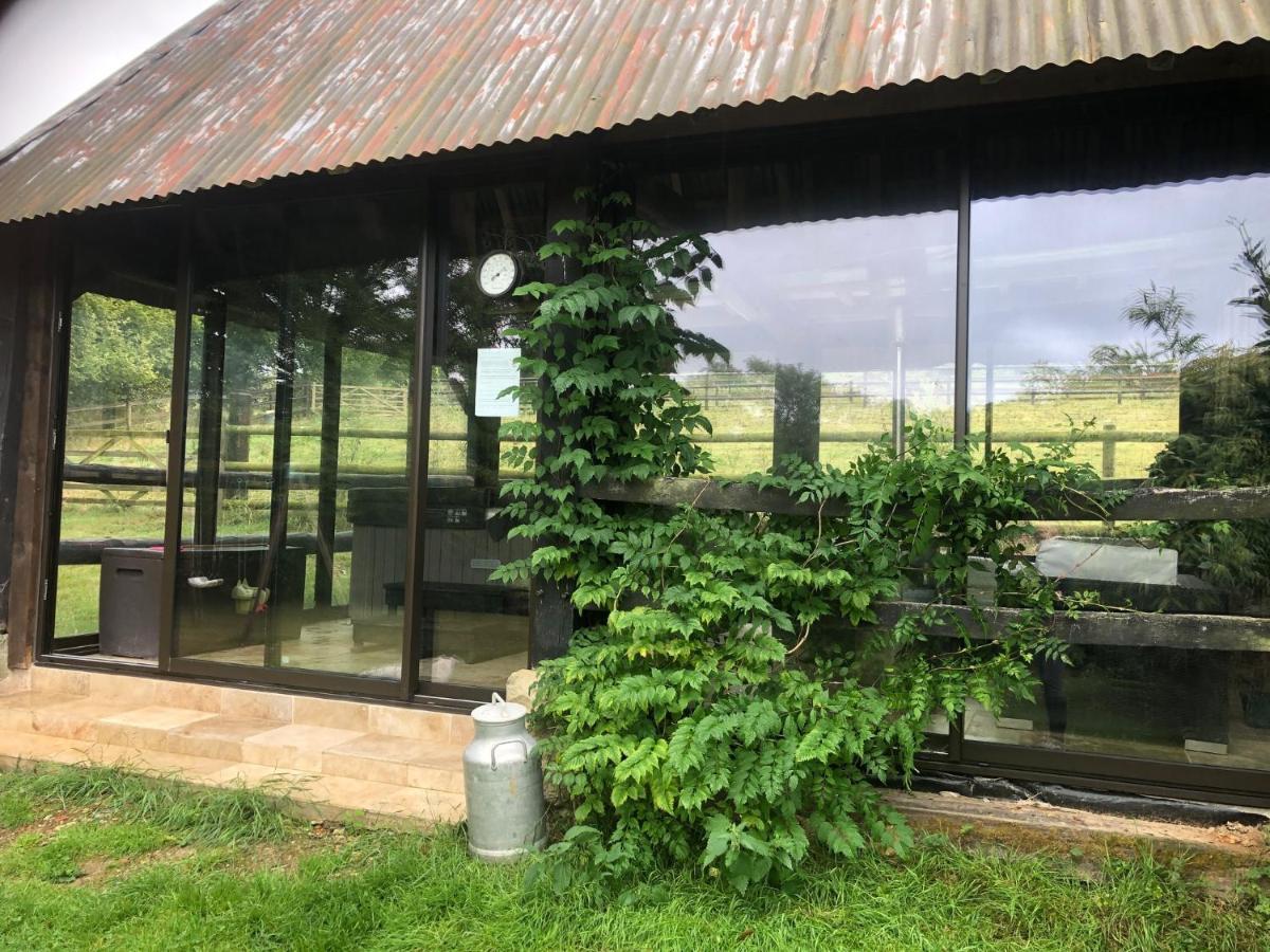 Bed and Breakfast Le Champ Des Possibles Manerbe Exterior foto