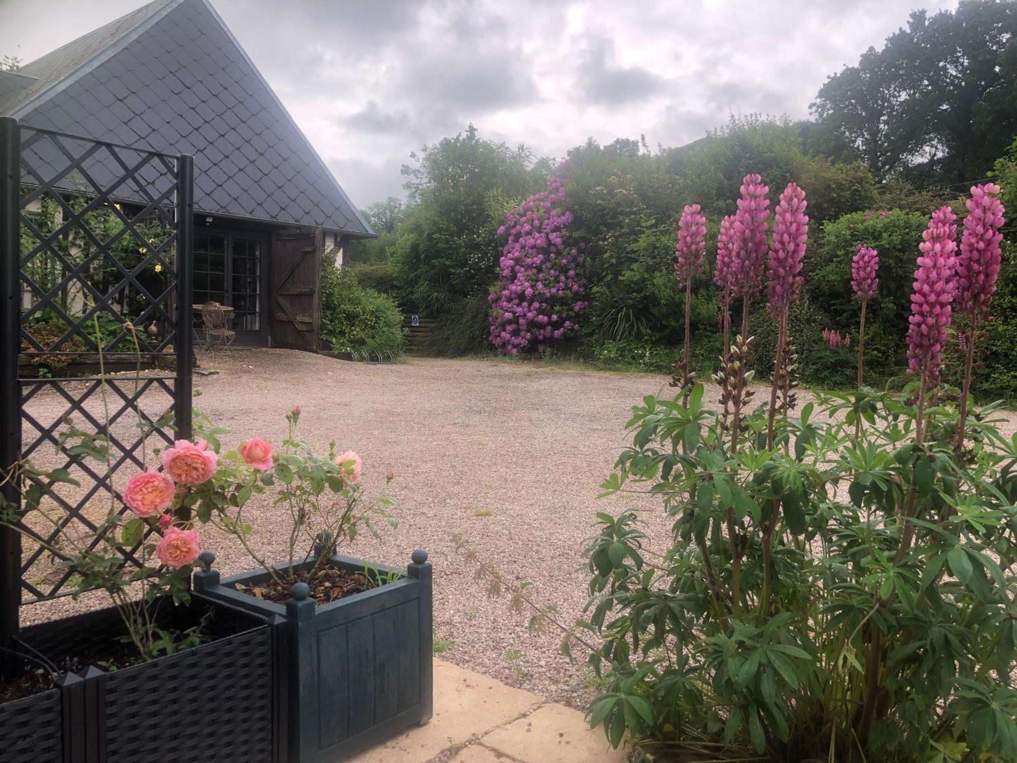 Bed and Breakfast Le Champ Des Possibles Manerbe Exterior foto